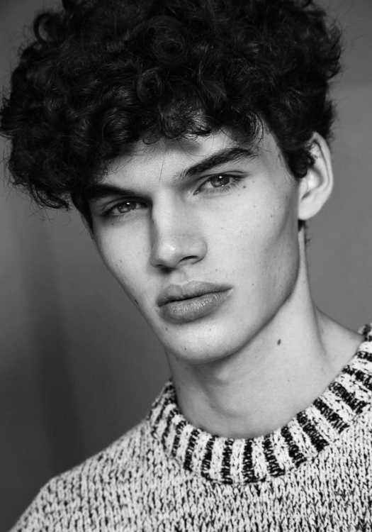 MIGUEL tortosa